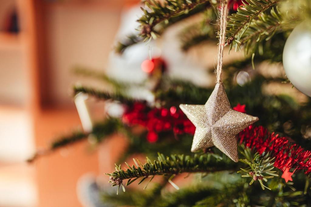 Um enfeite em formato de estrela pendurado no galho de uma rvore de Natal.
